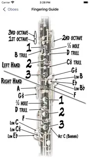fingering woodwinds for iphone problems & solutions and troubleshooting guide - 1