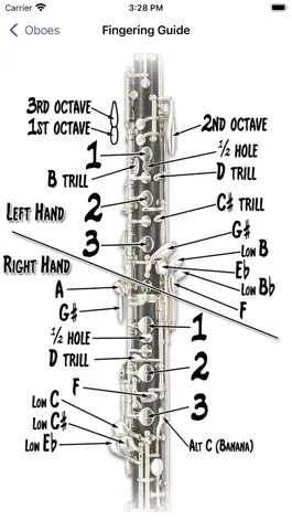 Game screenshot Fingering Woodwinds for iPhone hack