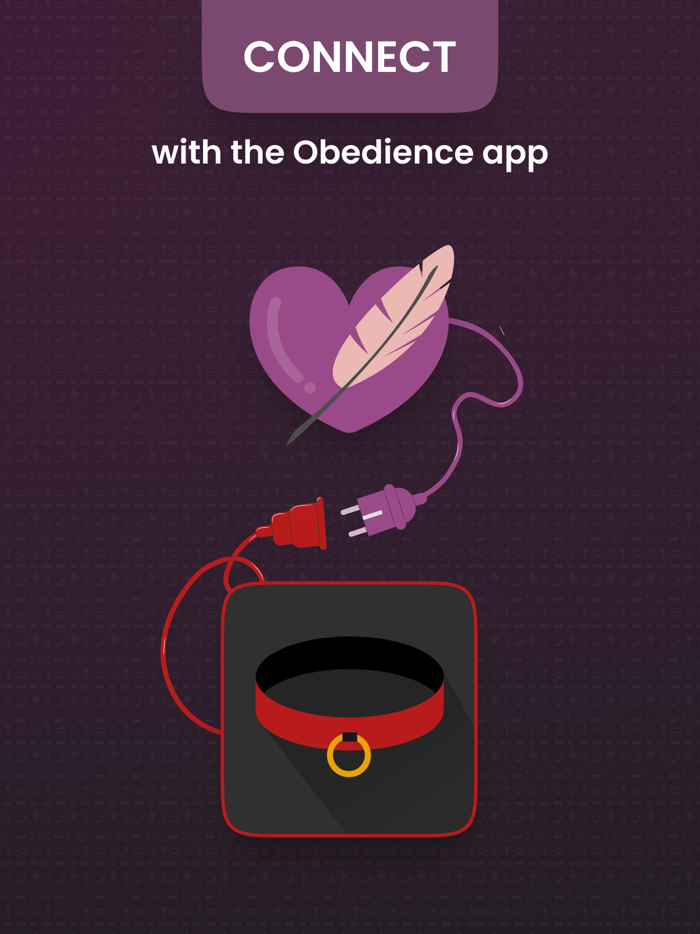 Embrace BDSM Couples Journal