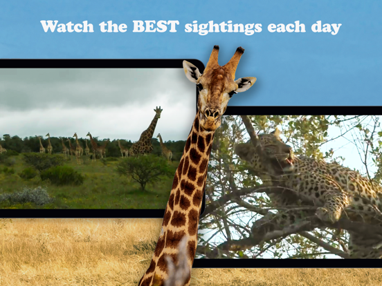 WildEarth TV - Nature Safari iPad screenshot 7 - Entertainment app