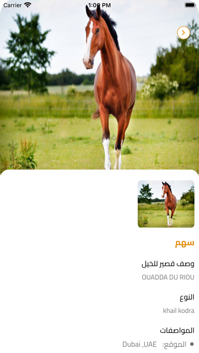 الادهم للخيول Screenshot