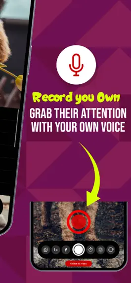 Game screenshot PetCam - Perfect Pet Portraits hack