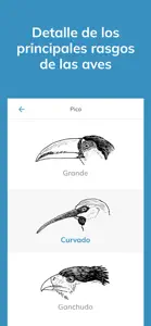 Aves argentinas screenshot #4 for iPhone
