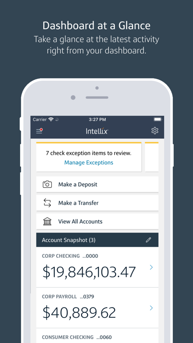 Capital One Intellix® Mobile Screenshot