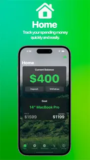 evergreen – finance manager iphone screenshot 2