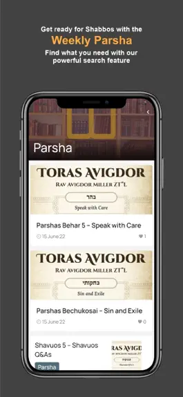 Game screenshot Toras Avigdor Miller apk