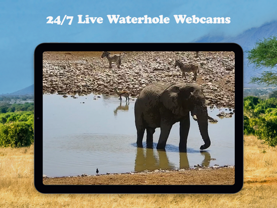 WildEarth TV - Nature Safari iPad screenshot 8 - Entertainment app