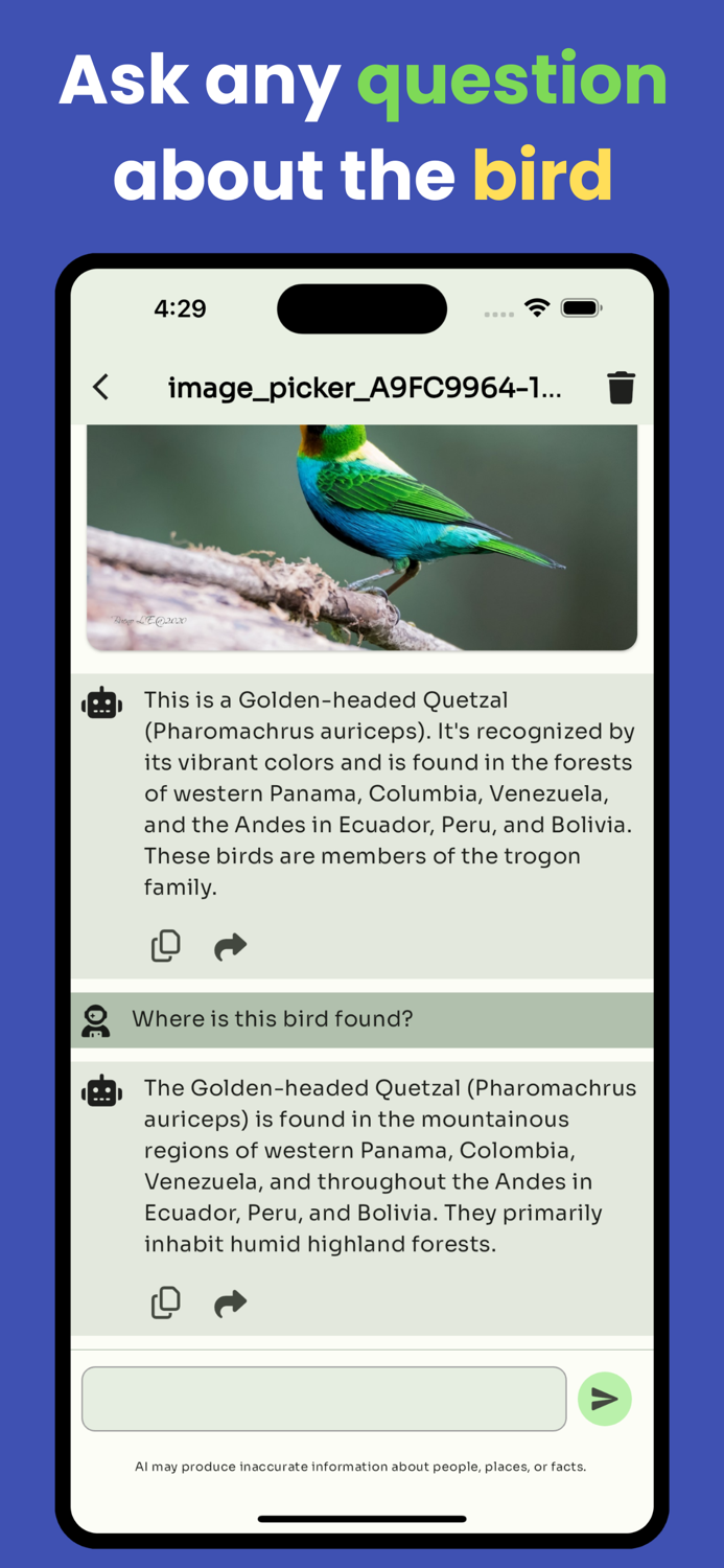 Bird identifier by picture
