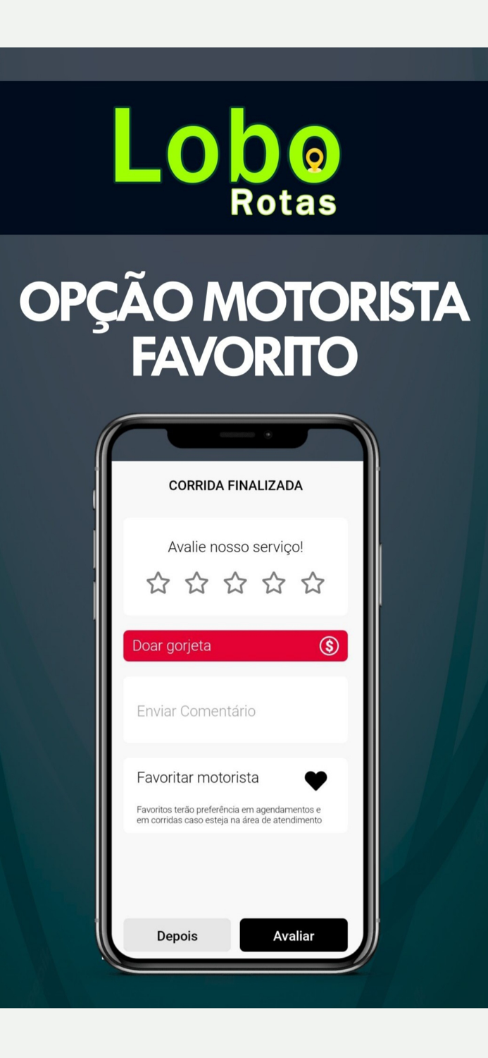 Lobo Rotas - Passageiro