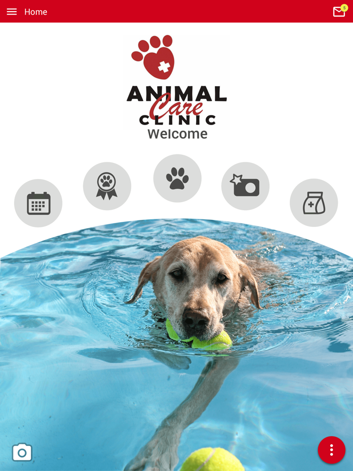 Animal Care Clinic Oregon
