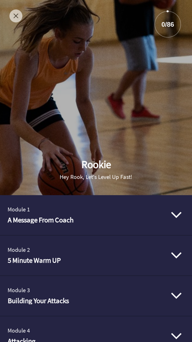 Hoops Training Screenshot