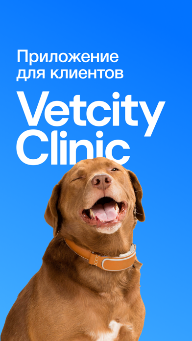 Vetcity Clinic Screenshot