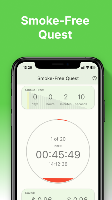 Smoke-Free Quest Screenshot