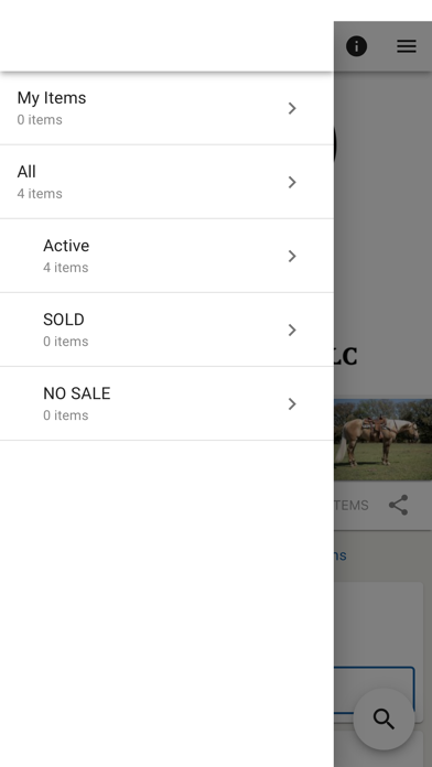 RSD Horse Auctions Screenshot