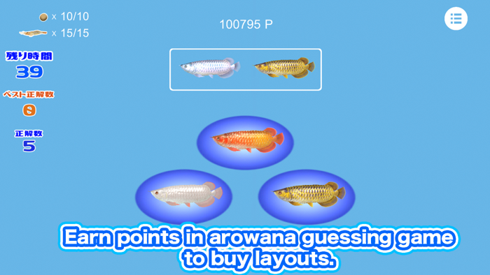 My Asian arowana Aquarium