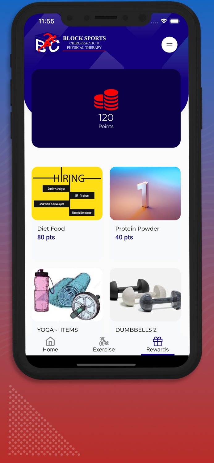 Block Sports Chiropractic  PT