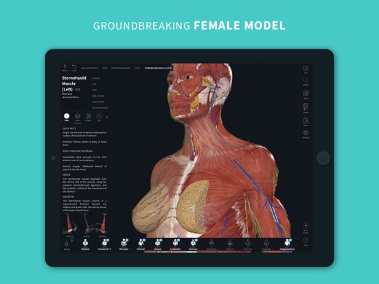 Complete Anatomy 2024 iPad app afbeelding 2