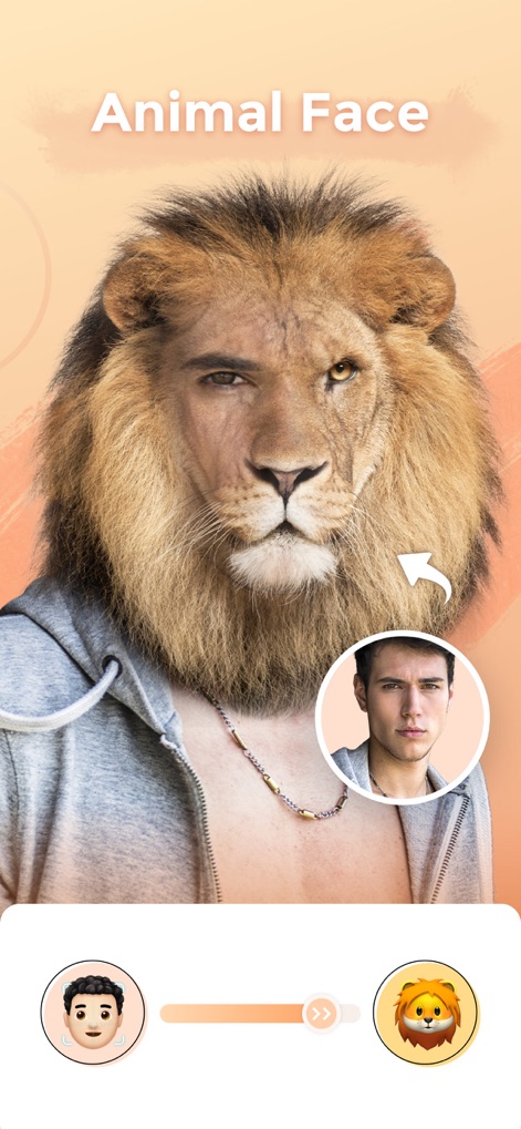 illus - Face Effects Editor - The app allows users to seamlessly morph their face with an animal, as seen with the striking lion transformation and intuitive facial blending slider.