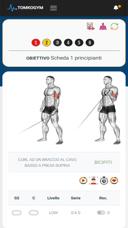 TOMKO GYM - Health & Wellness