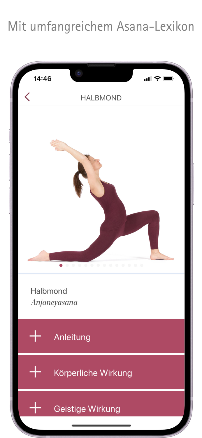 Yoga Vidya - Yoga and Meditation