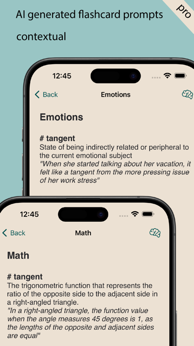 Flash Notes Screenshot