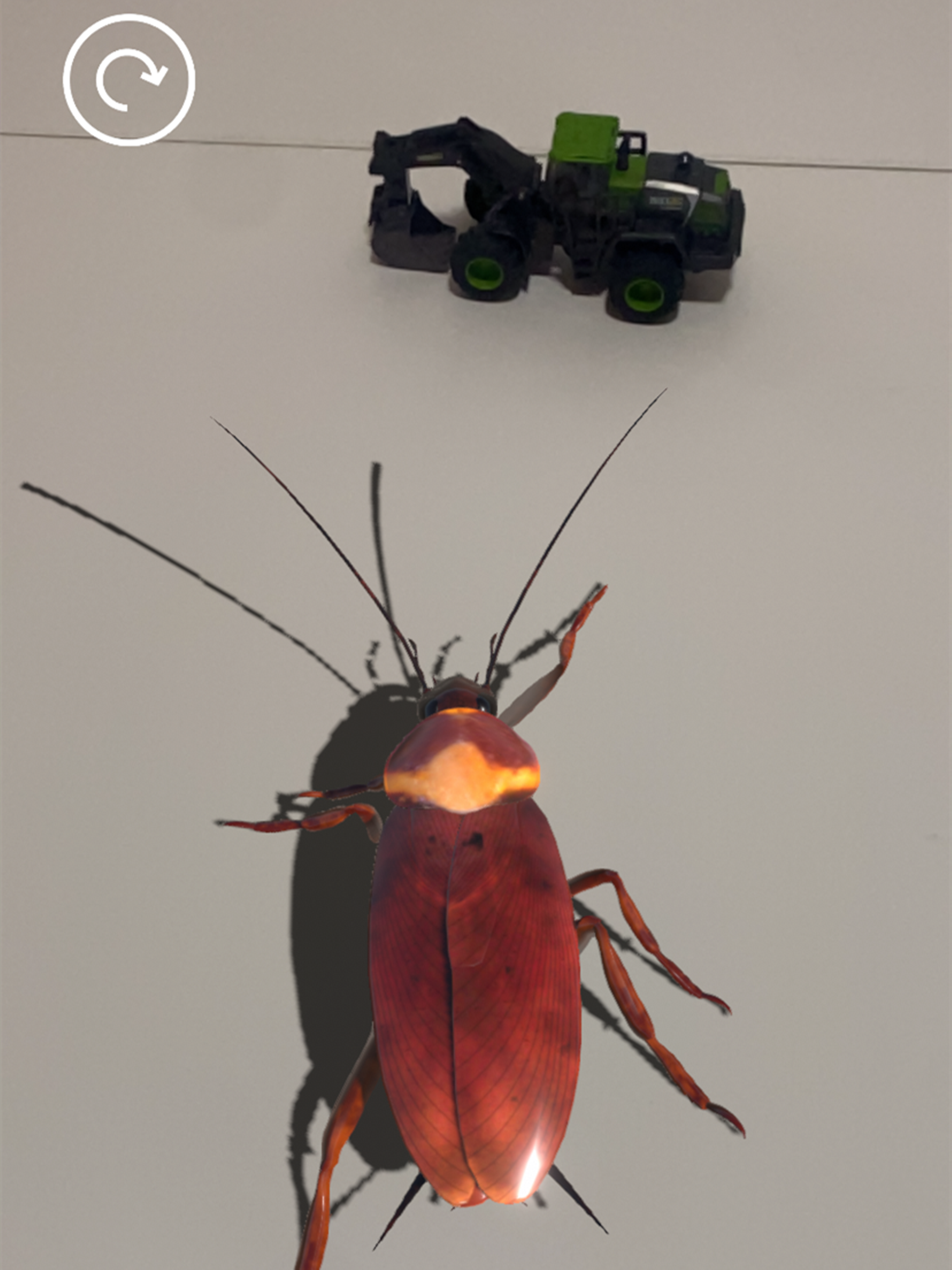 Insectes AR
