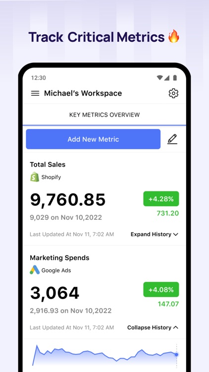 Amigo: Mobile Business Reports