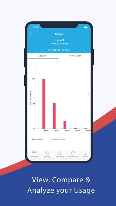 Delta e-Account Screenshot