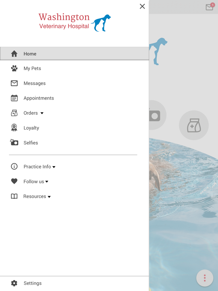 Washington Vet Hospital