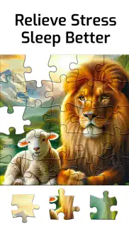 bible jigsaw puzzles. problems & solutions and troubleshooting guide - 4