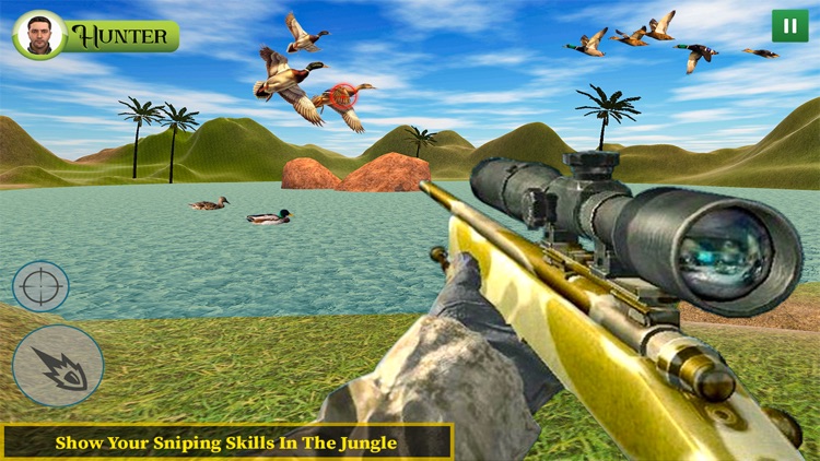 Duck Hunting Sniper Shooting