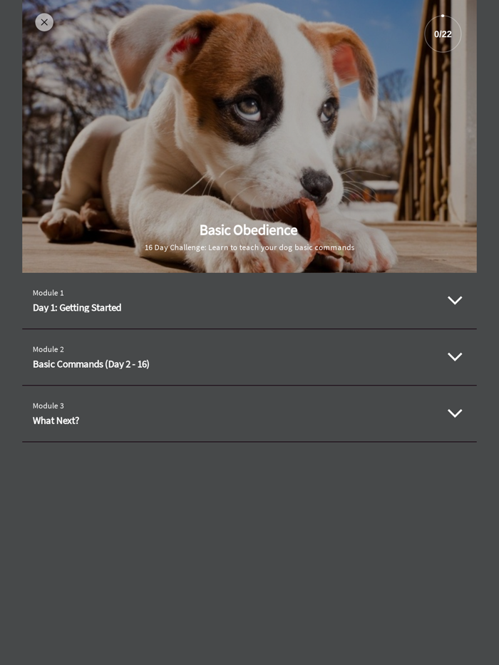 Pawsome Behavior Dog Training