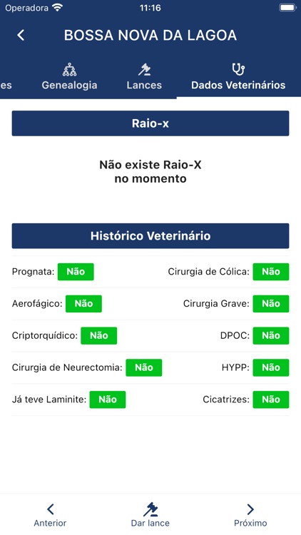 Milan Horses screenshot-4