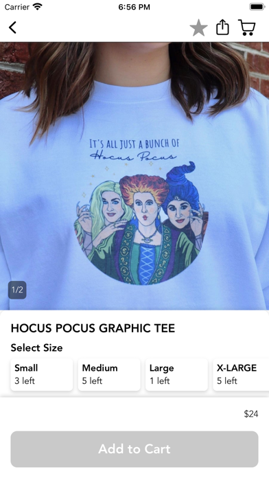 McCoy and Co. Boutique Screenshot
