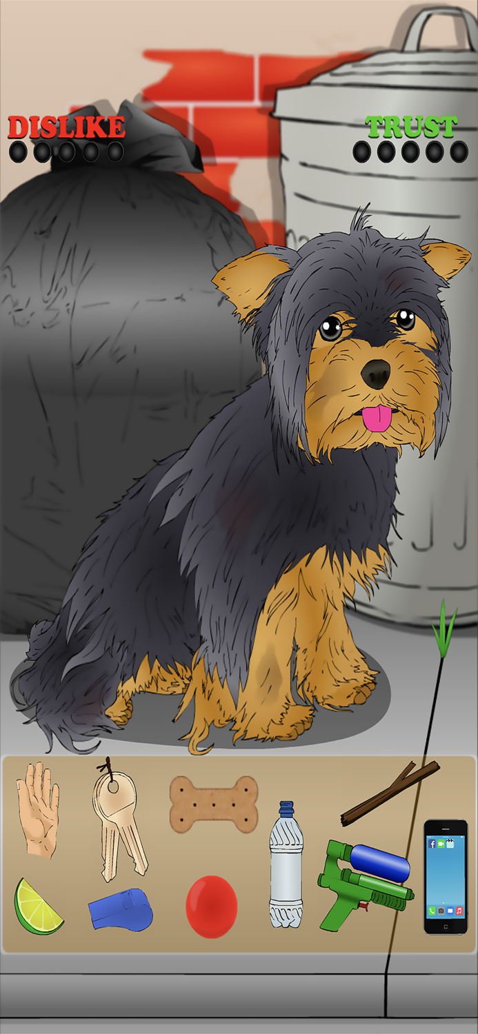 Poor Little Dog Yorkie