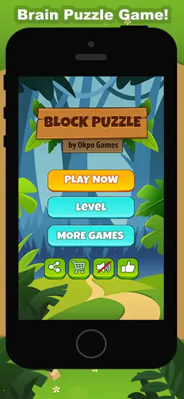 Game screenshot Block Puzzle - Block Game mod apk
