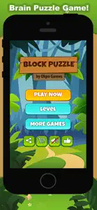 Block Puzzle - Block Game screenshot #1 for iPhone