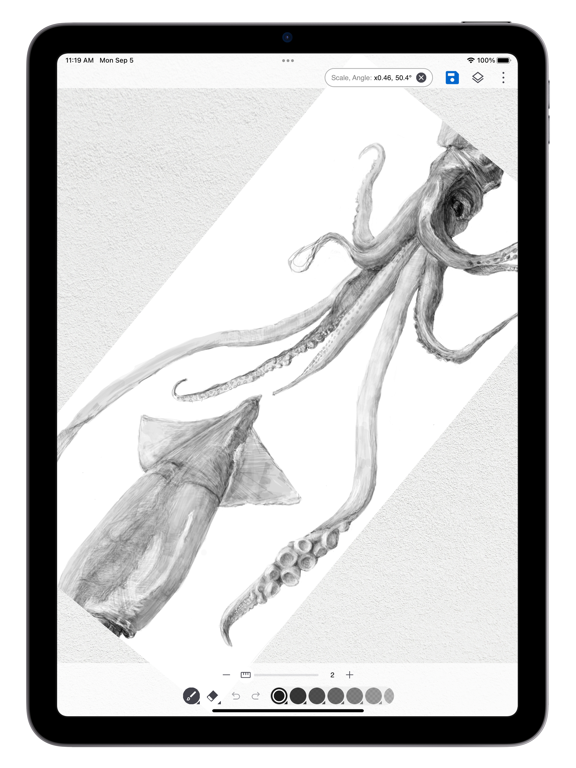 Screenshot #6 pour Rollcanvas