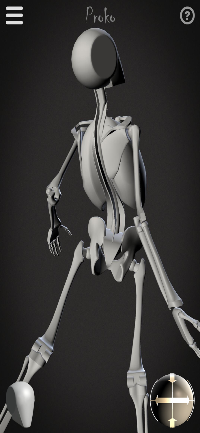 Skelly - Art Model