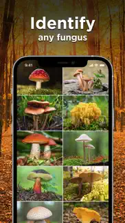 mushroom id: fungus identifier iphone screenshot 2