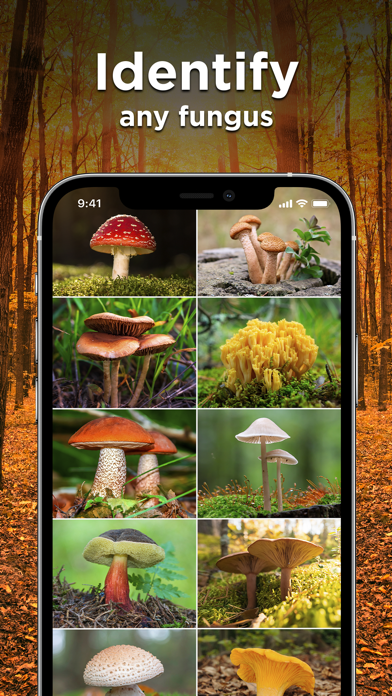 Mushroom ID: Fungus Identifierのおすすめ画像2