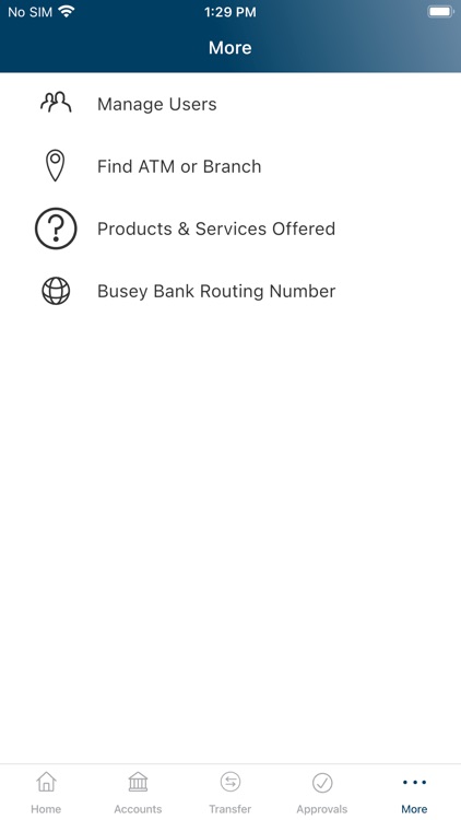 Busey Business Access