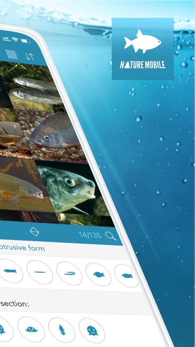 Fishes PRO - Field Guideのおすすめ画像2