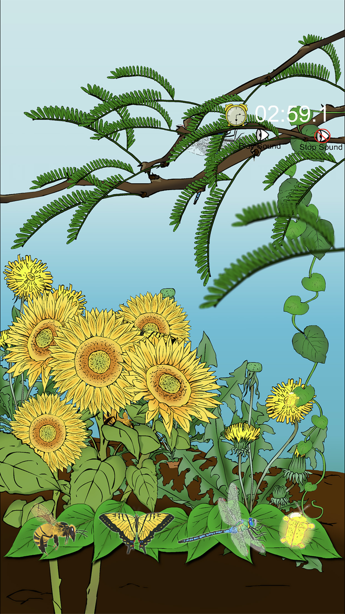 Find The Hidden Insects