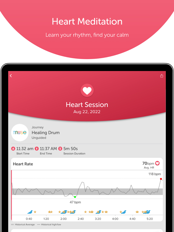 Muse Meditation and Sleep