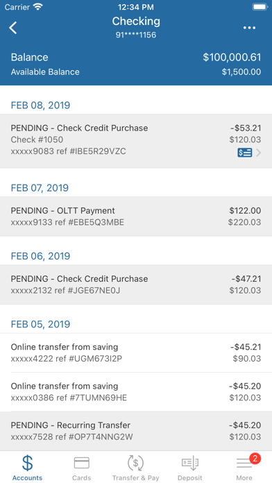 North Georgia National Bank Screenshot