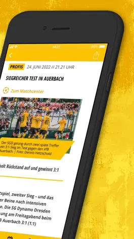 Game screenshot SG Dynamo Dresden hack