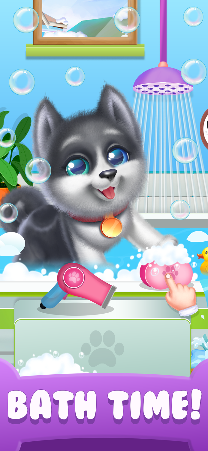 My Husky Dog Pet Daycare