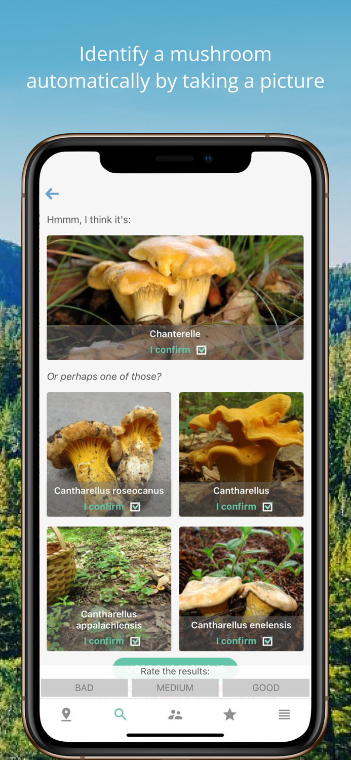 Mushroom Identificator