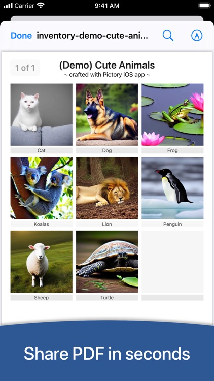 Photo Inventory Retinelle